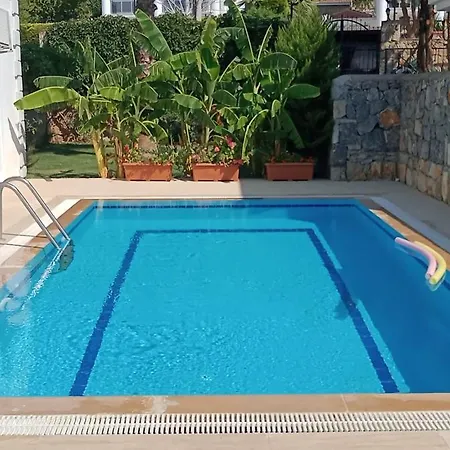 Palm ヴィラ *
